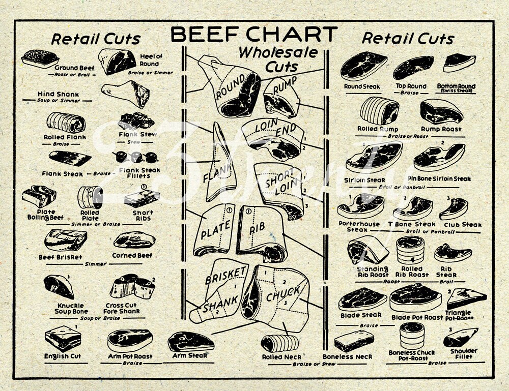 venison cuts of meat diagram