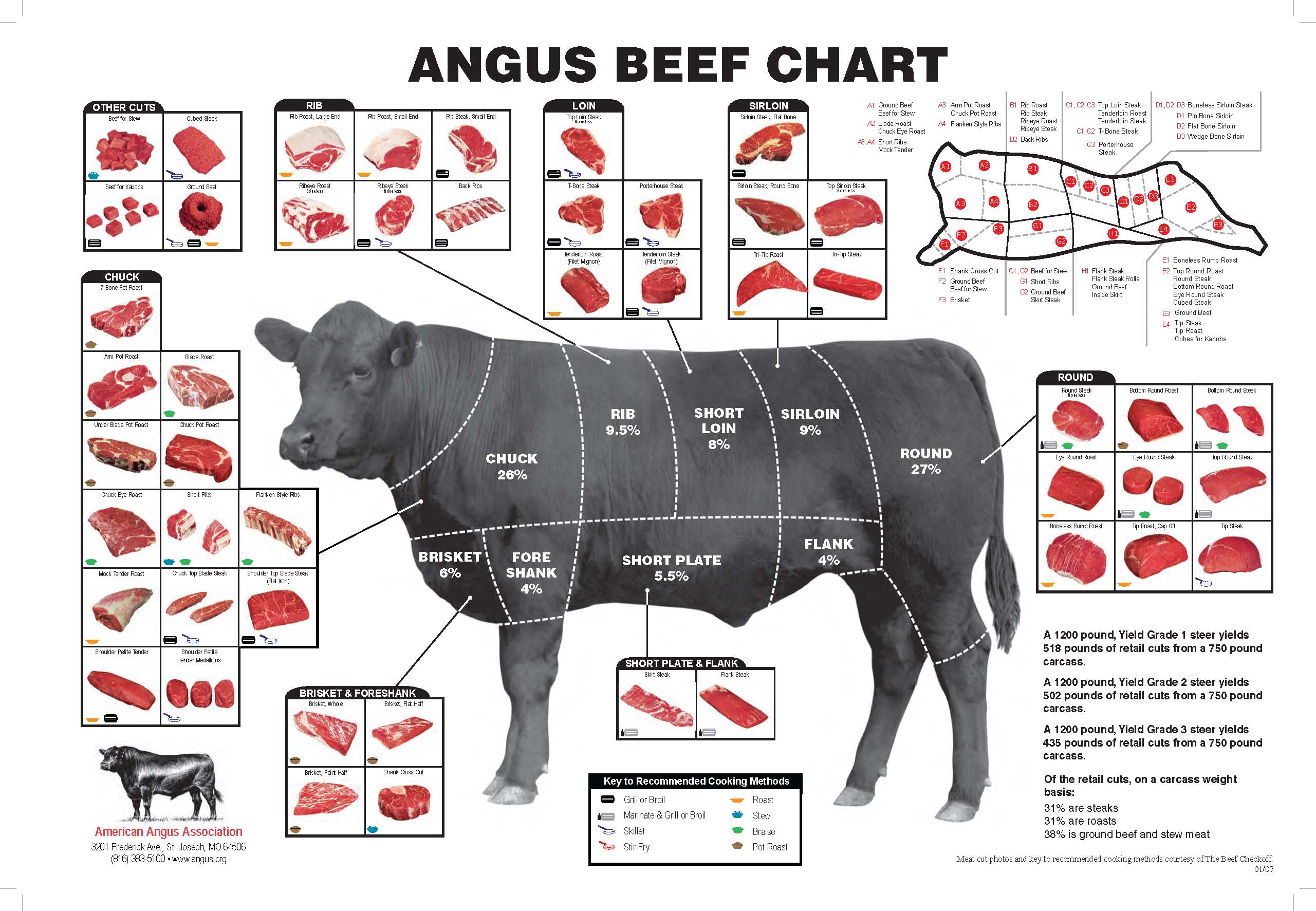 venison cuts of meat diagram