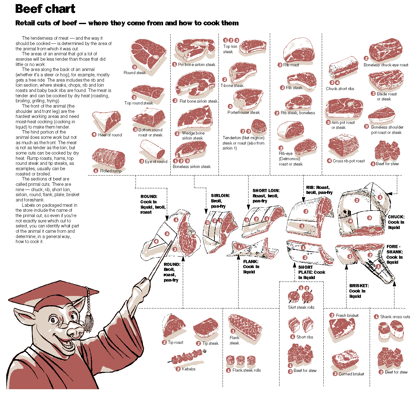 venison cuts of meat diagram