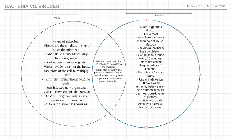 venn diagram bacteria and virus