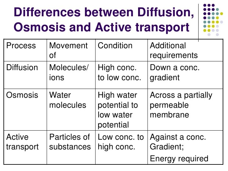 venn diagram comparing osmosis and diffusion