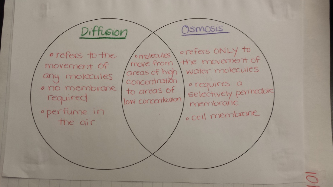 venn diagram comparing osmosis and diffusion