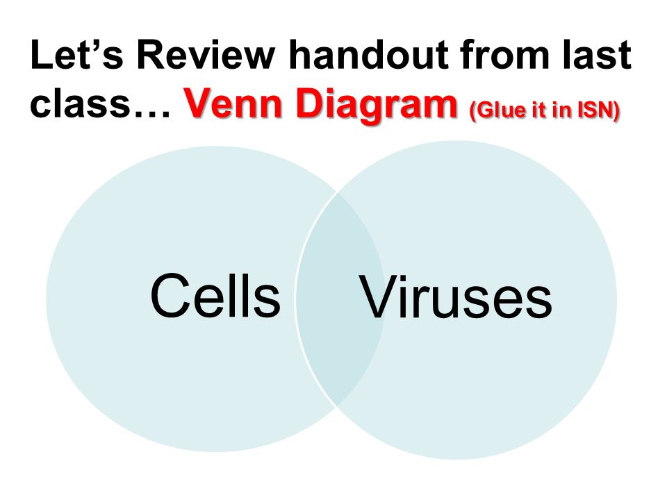 venn diagram comparing viruses and cells