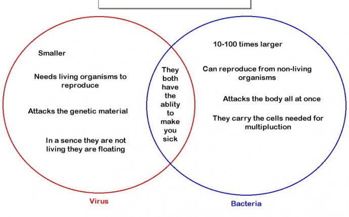 venn diagram comparing viruses and cells