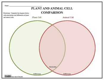 venn diagram comparing viruses and cells