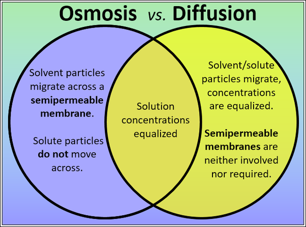 venn diagram diffusion and osmosis