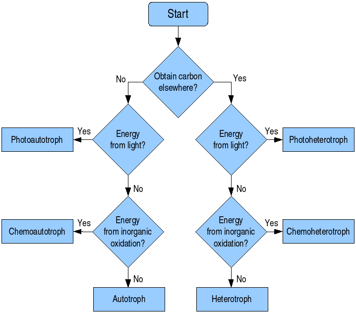 venn diagram of autotrophs and heterotrophs