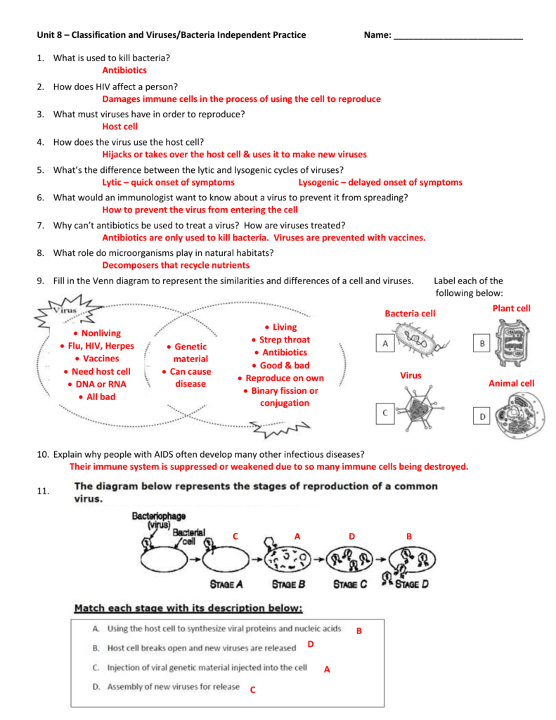 venn diagram of bacteria and viruses