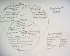 venn diagram of photosynthesis and chemosynthesis