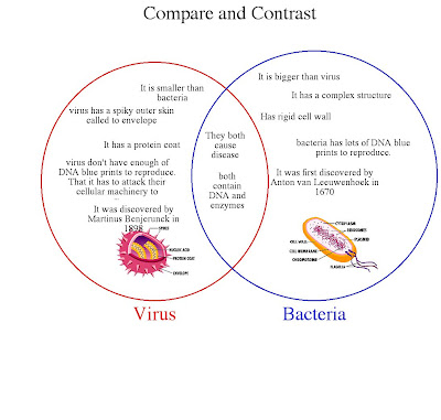 venn diagram of prokaryotes eukaryotes and viruses