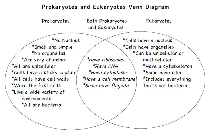 venn diagram of prokaryotes eukaryotes and viruses