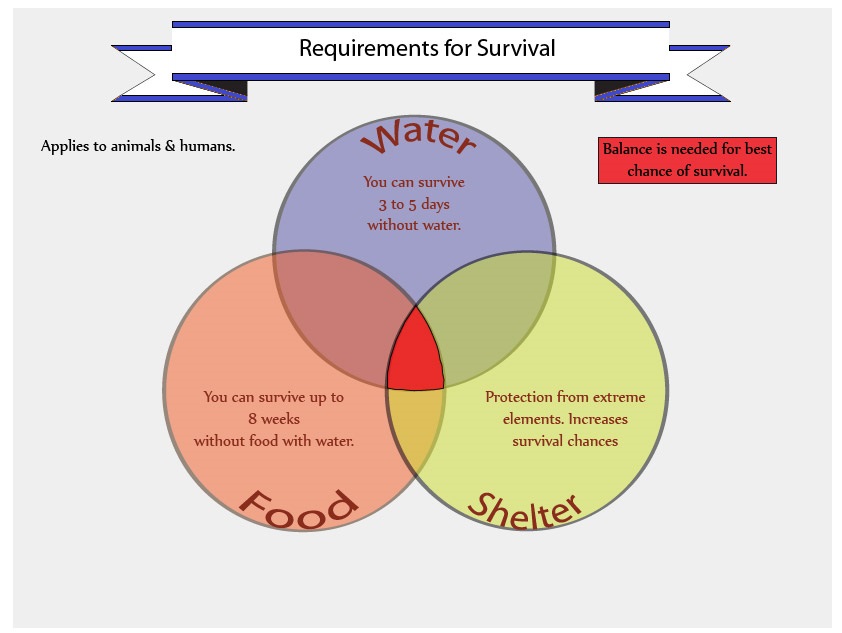 venn diagram paleolithic vs neolithic