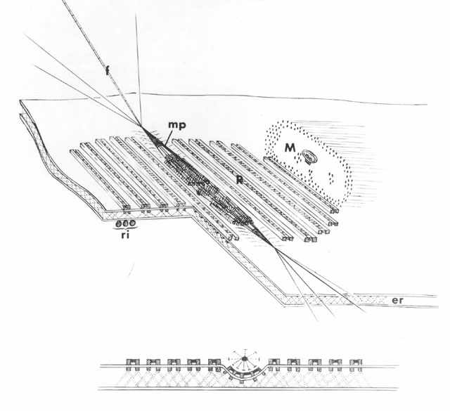 vorticella diagram