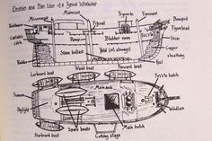 whaling ship diagram