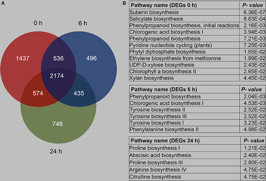 which statement should be categorized only in the aerobic section of the venn diagram?