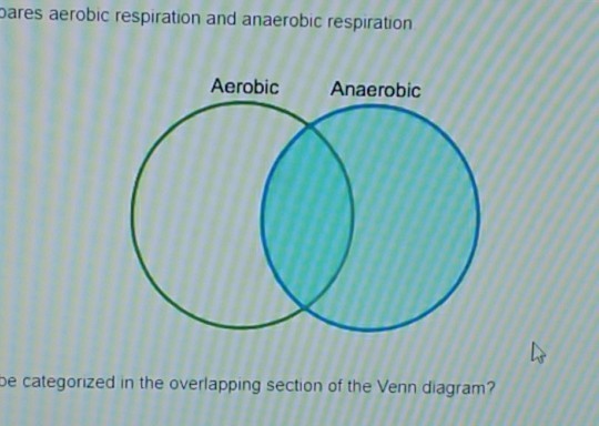 which statement should be categorized only in the aerobic section of the venn diagram?