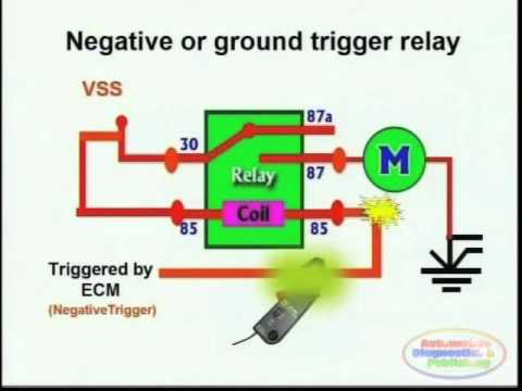 wiring diagram for 5 pin relay for drl with turn signal wire