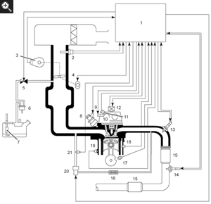 wiring diagram for a 2011 yaris t spirt