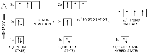 write the orbital diagram of carbon before sp3 hybridization