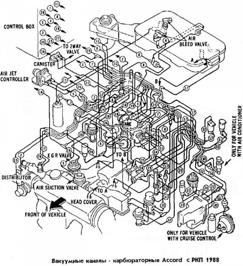 5. Timing Belt/Chain