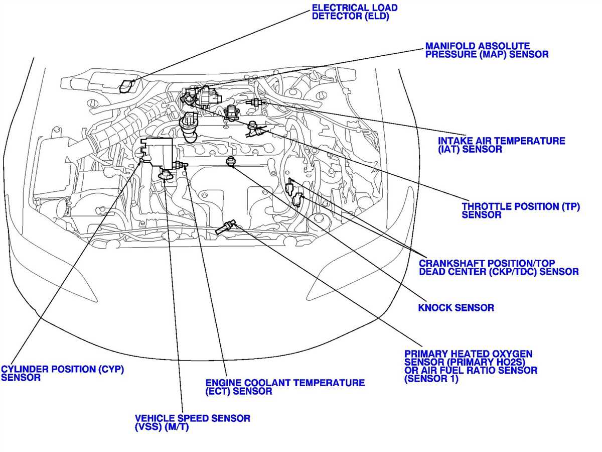 Exhaust System