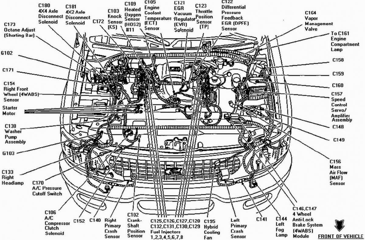 Exploring the Engine's Cylinder Layout