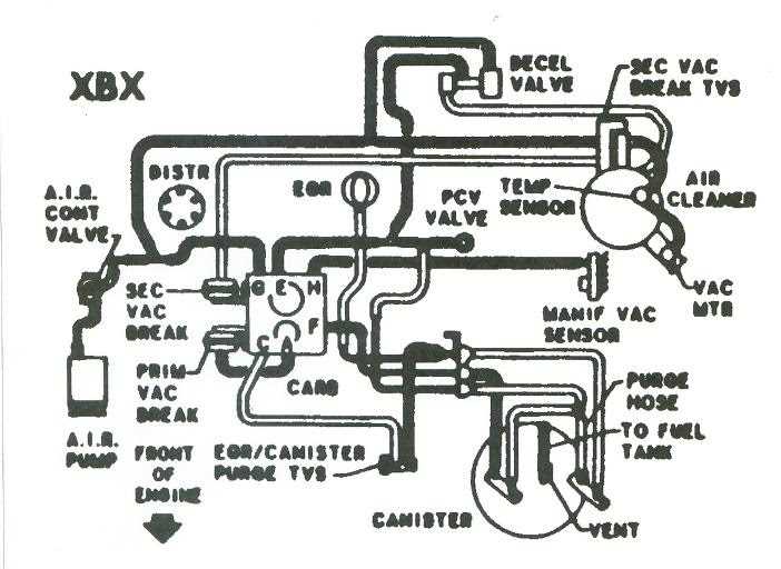 Identifying the Vacuum Lines