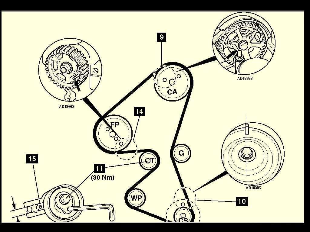 How to Read and Interpret the Belt Diagram?