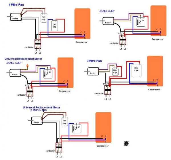 Step 2: Identify the Wires