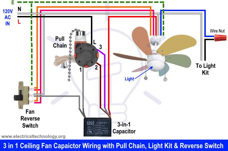 3. Identify the wires