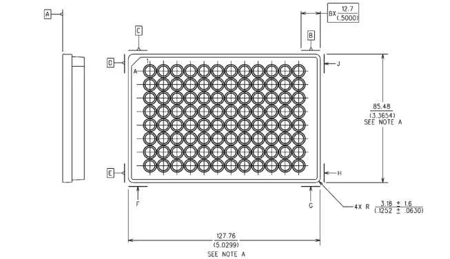 96 well plate diagram