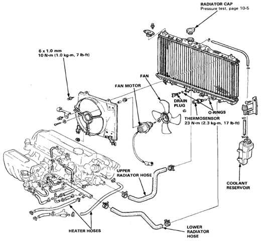 Understanding Coolant Hoses