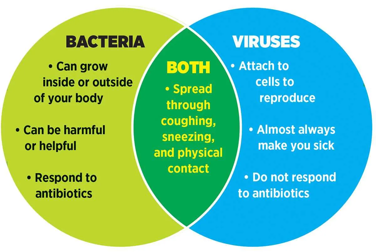 bacteria and virus venn diagram