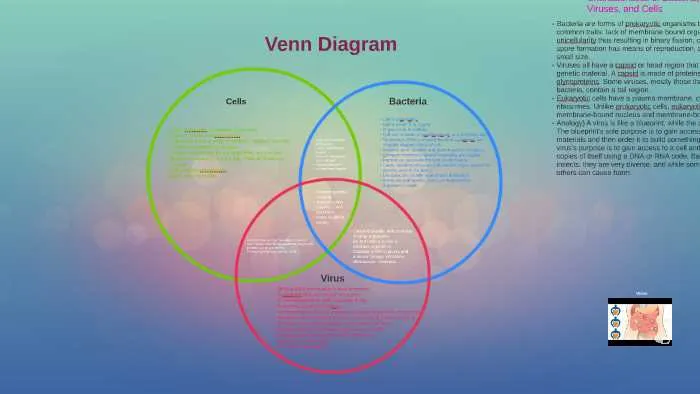 bacteria virus venn diagram