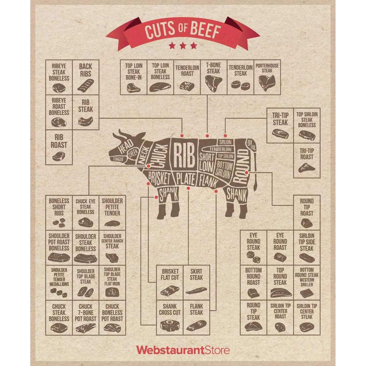 cuts of beef diagram poster