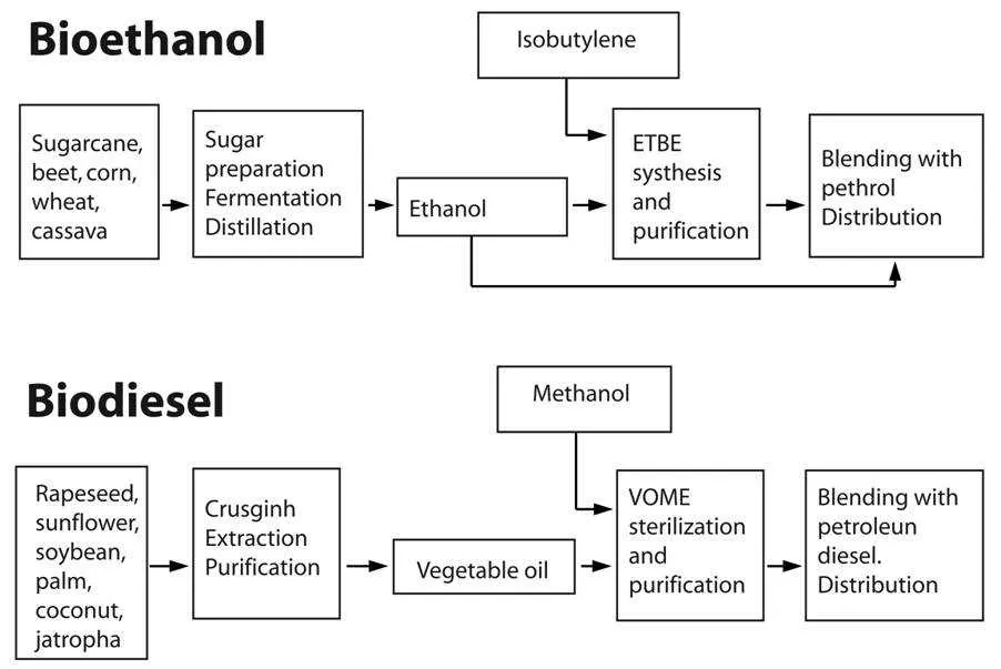 diagram of biofuels being processed
