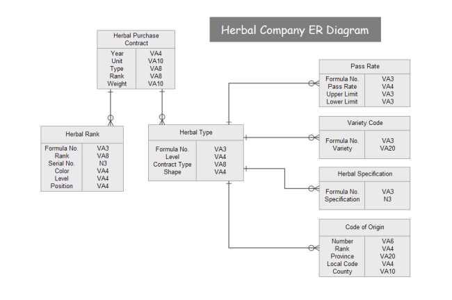 Example of an er diagram