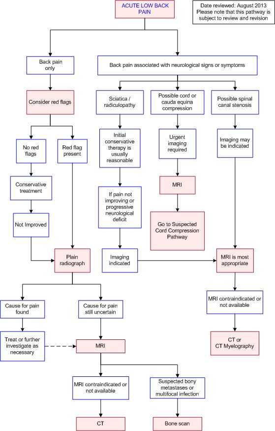 Benefits of Using a Pain Chart Diagram