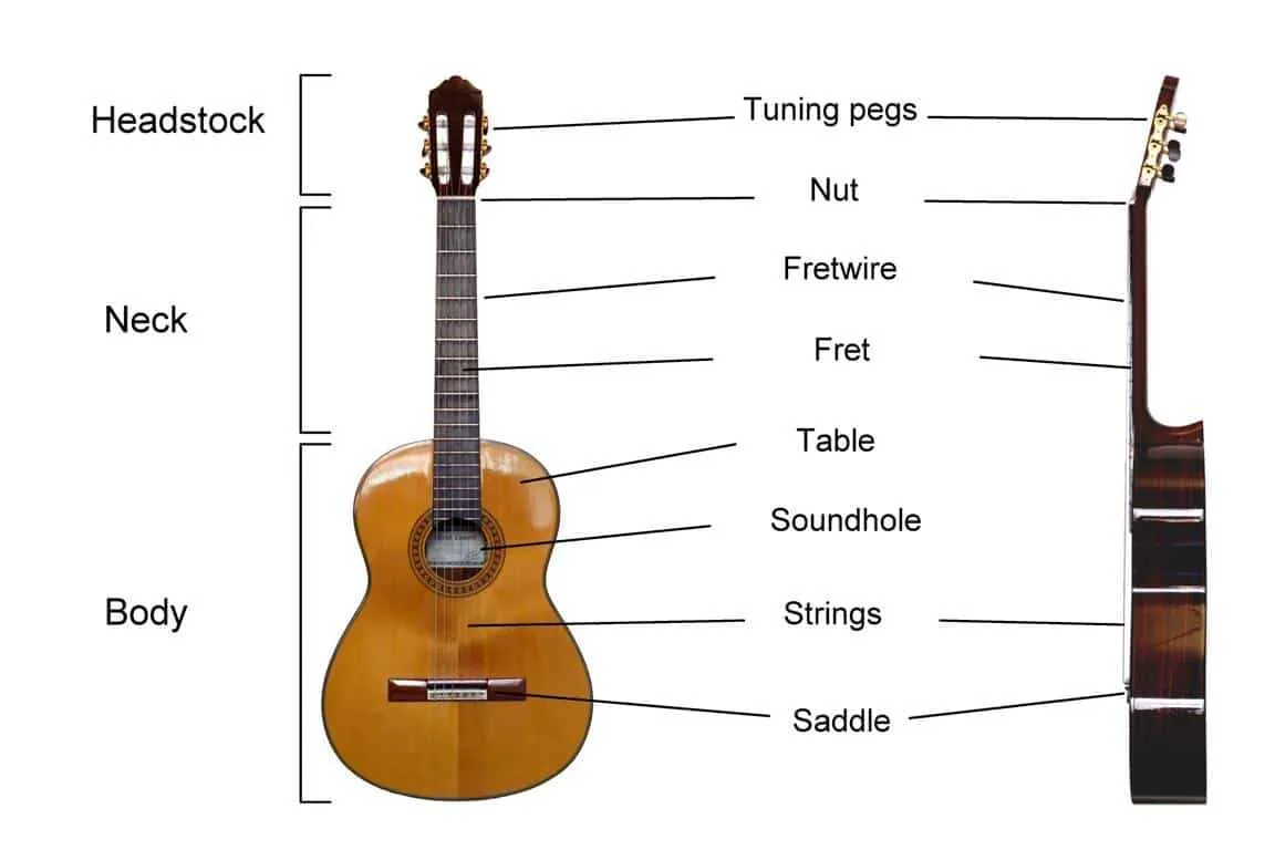parts of a guitar diagram acoustic