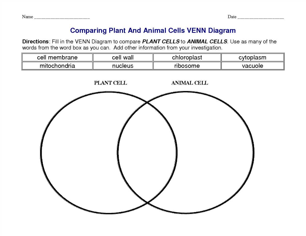 Examples of Animals