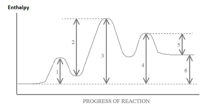 potential energy diagram worksheet