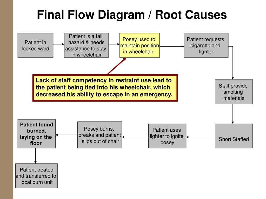 Real-Life Examples of Root Cause Diagrams