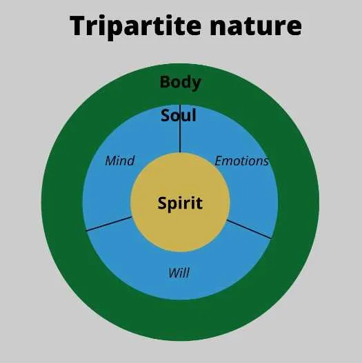spirit soul body diagram