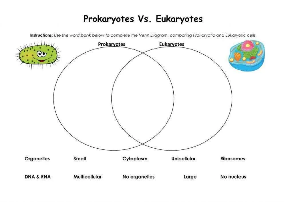 venn diagram of prokaryotes and eukaryotes