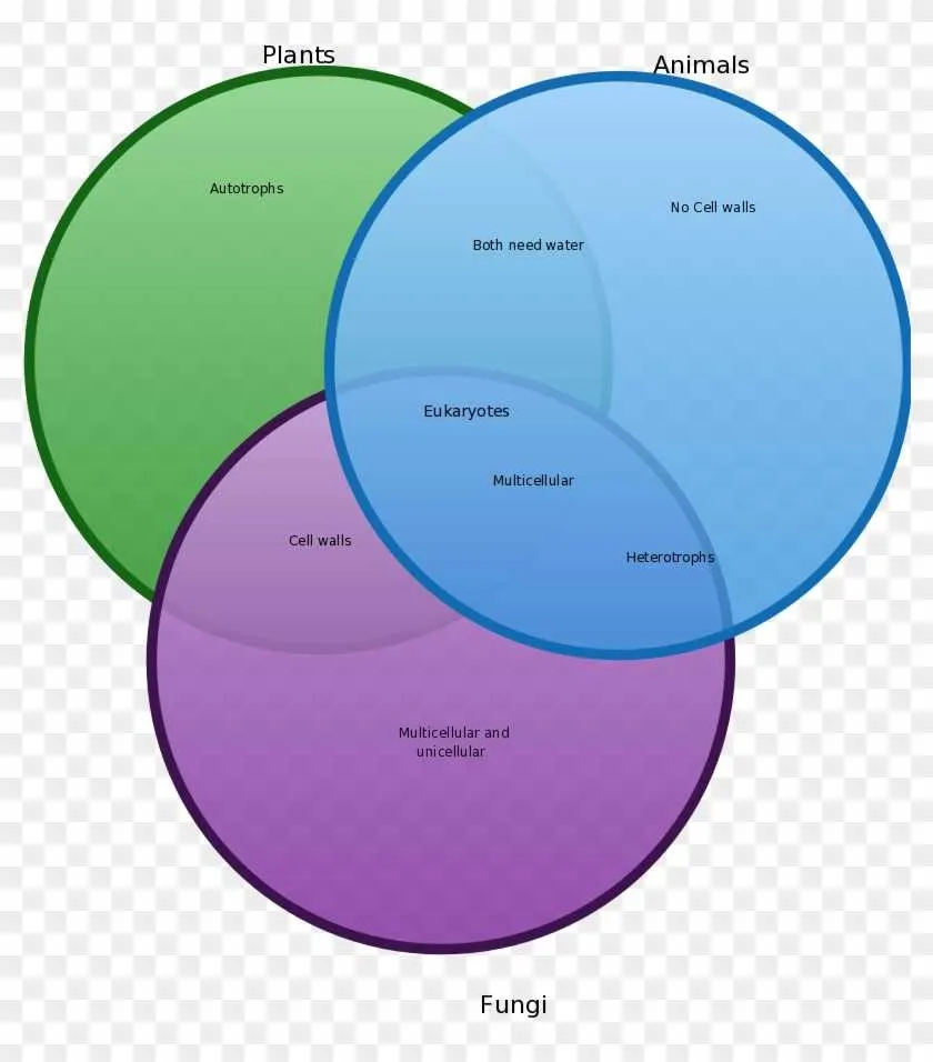 venn diagram plants and animals cells