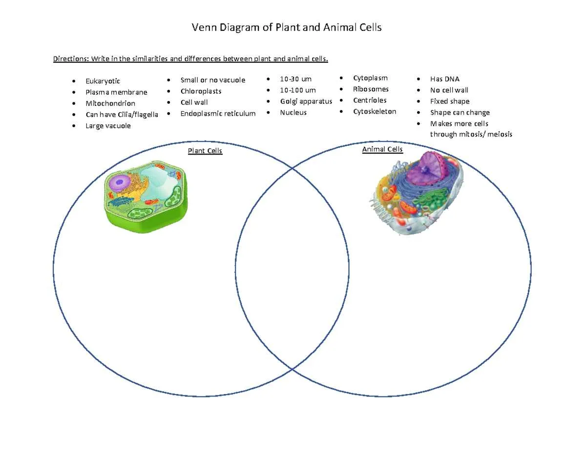 venn diagram plants and animals cells