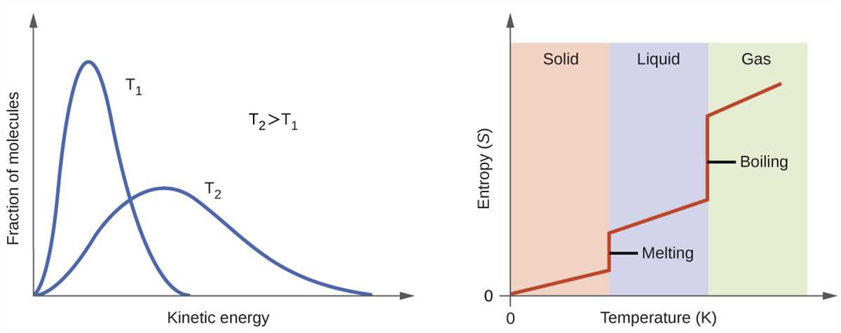 Interpreting Temperature vs. Entropy Diagram