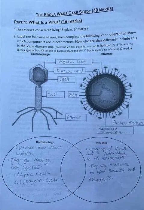 bacteria and virus venn diagram