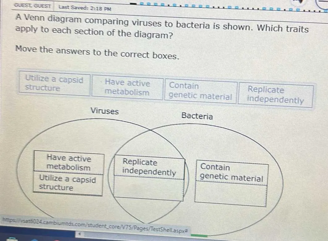 bacteria virus venn diagram