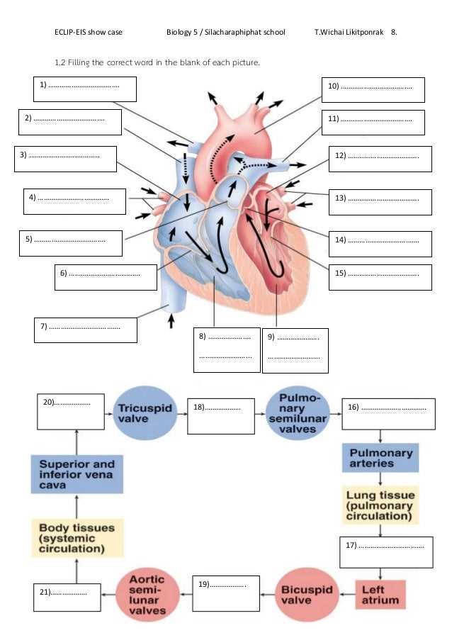 2. Where can I find blank heart diagrams?